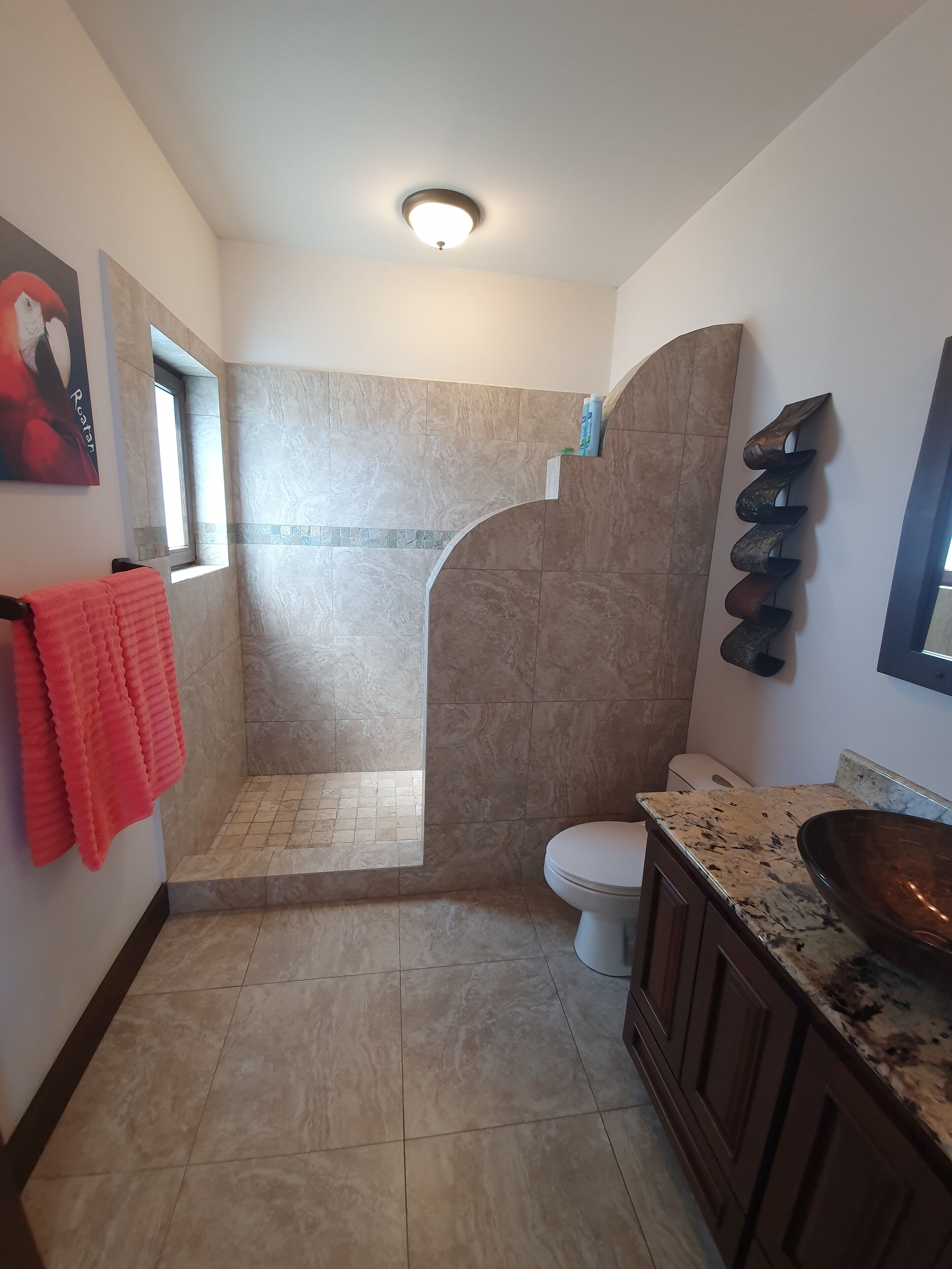Une salle de bain avec douche, toilettes et lavabo.