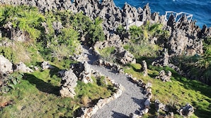 Un paysage côtier avec un sentier rocheux menant à une falaise surplombant l’océan.