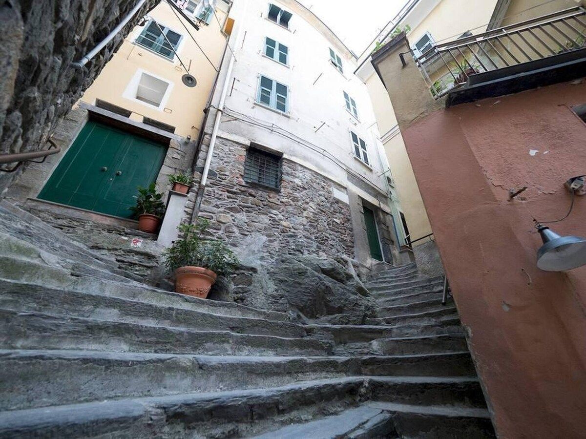 A narrow stone staircase leading to a building with a green door and windows.
