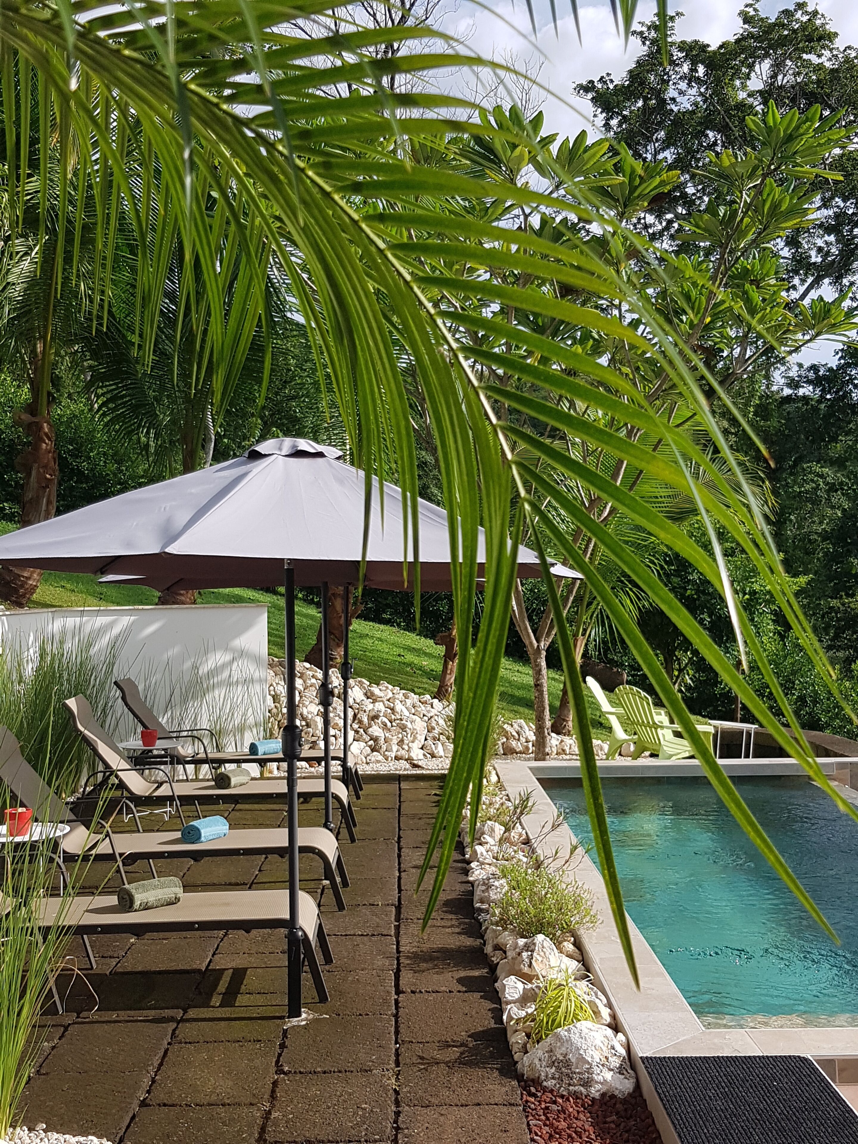 A poolside area with lounge chairs and a covered seating area, surrounded by greenery and a pool.