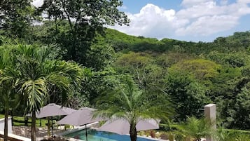Kolam renang outdoor, dengan payung kolam renang dan kursi berjemur