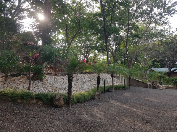 Un jardín con sendero de grava, muro de piedra y diversos árboles.