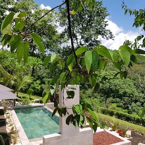 Outdoor pool, pool umbrellas, pool loungers