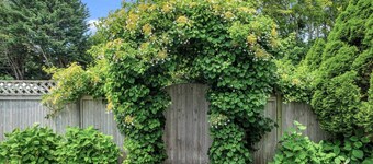 Contemporary Southampton Village Home Walking Distance to Town, Pool,...