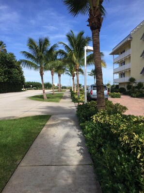 Guests can stroll through the hotel's serene corridor lined with palm trees and lush greenery, leading to a parking area.