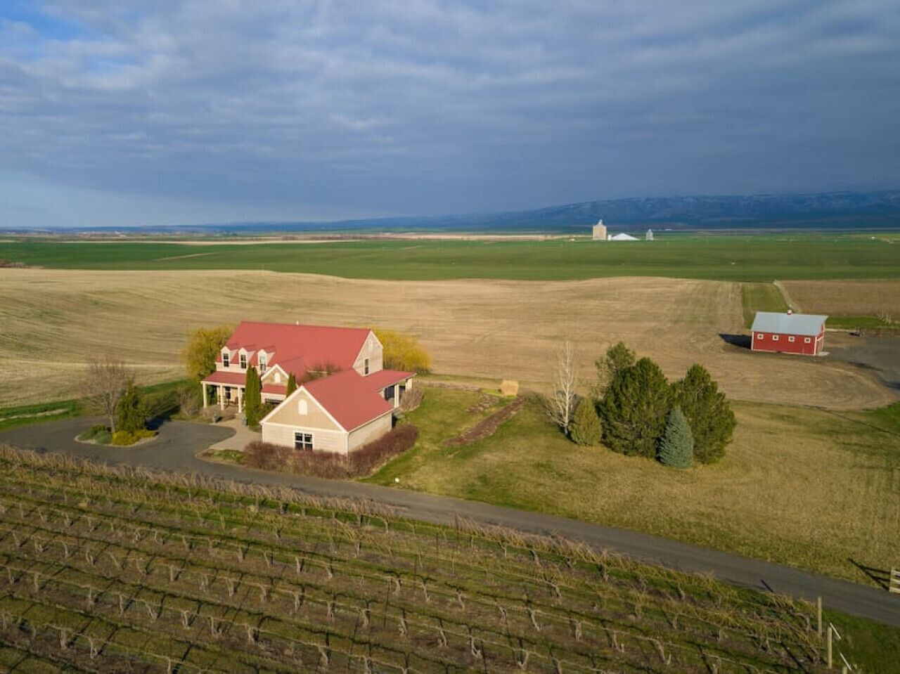 Birch Creek Vineyard · Birch Creek Vineyard - Stunning Views