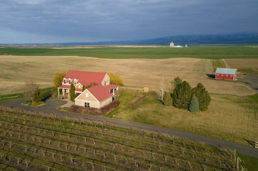 Birch Creek Vineyard · Birch Creek Vineyard - Stunning Views
