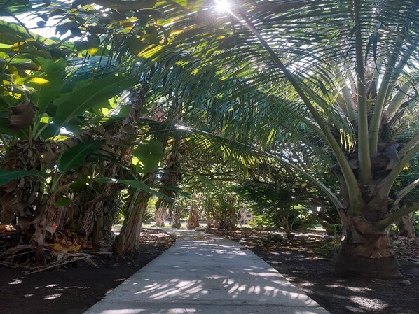 Property grounds - Opui Twin Room (Uturoa)