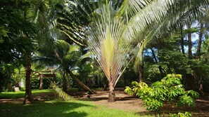 Property grounds - Opui Twin Room (Uturoa)