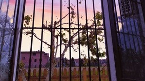 A window with metal bars, a view of a tree, and a pink building in the background. - Vailletta Fiorita (Rome)