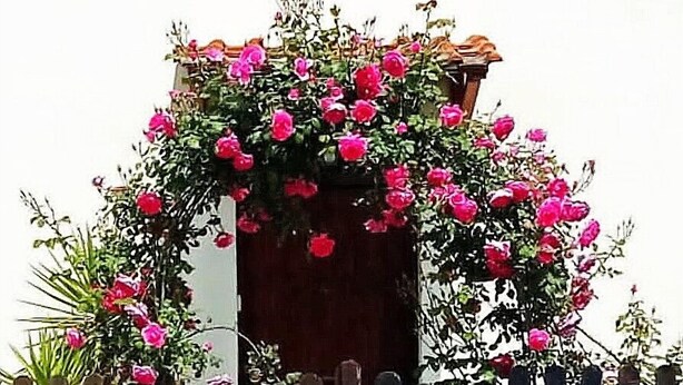 A wooden gate with a number sign, surrounded by a wooden fence and a flowering archway. - Vailletta Fiorita (Rome)