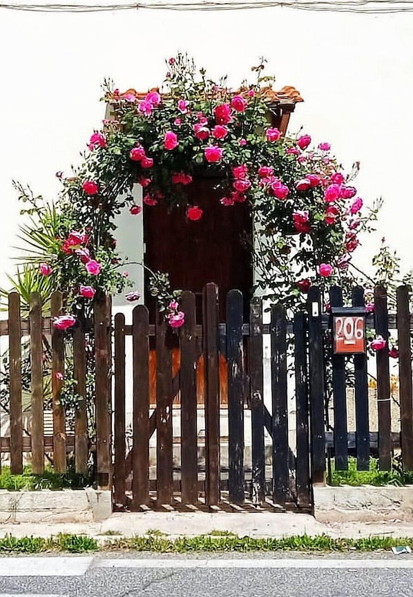 Majoituspaikan julkisivu