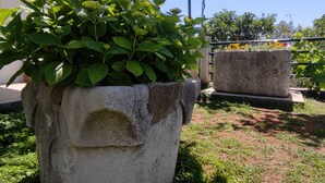 Un bac à fleurs en béton orné de feuillage verdoyant, un banc en pierre et, en arrière-plan, un ciel bleu azur.