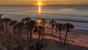 Escena de playa con palmeras y un atardecer.