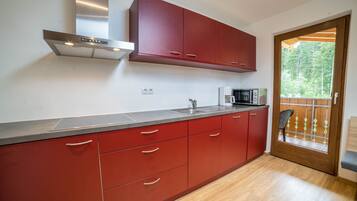 KĂŒhlschrank, Mikrowelle, Herdplatte, GeschirrspĂŒler