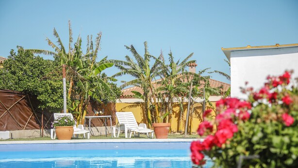 Una piscina con sillas de descanso, palmeras y un edificio con tejado de baldosas.