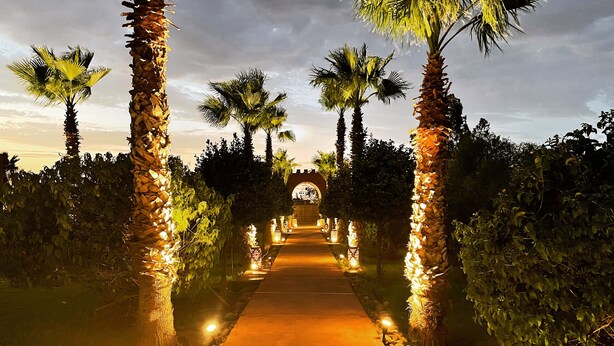 A pathway flanked by palm trees and lit lanterns, leading to a building with an arched entrance. - LA SIESTA, 18 rooms, 41 sleeps for your event in Marrakech (Marrakech)