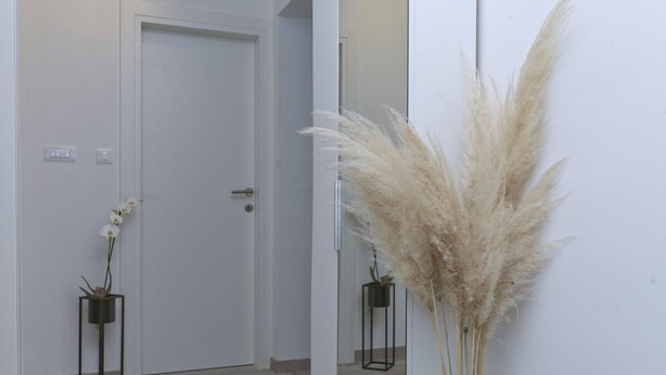 A hallway with a white door, a potted orchid, and pampas grass against a white wall. - Luxury Travel Station - Pula (Pula)