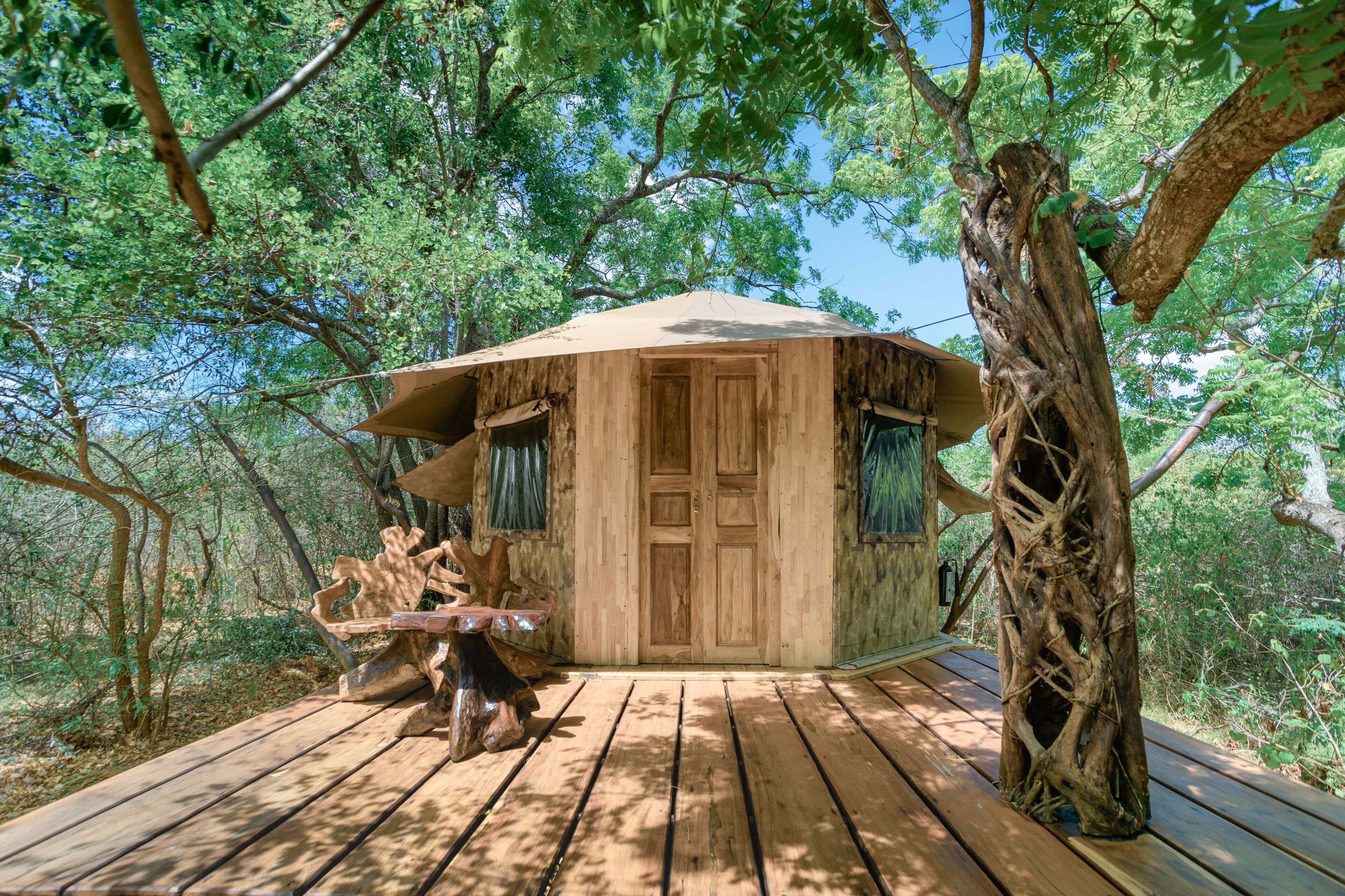 Una casetta sull'albero in legno con porta e finestre, immersa tra gli alberi e con una veranda in legno.