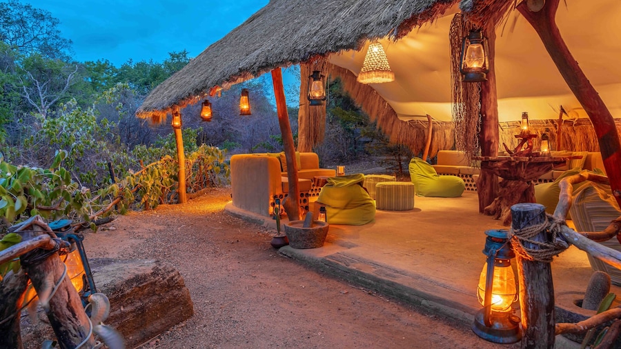 Leopard Safaris Yala
