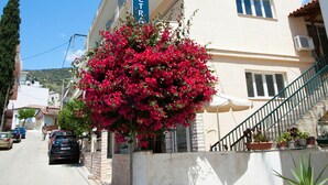 واجهة المنشأة