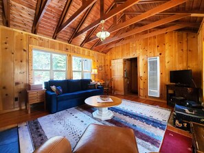 TV, fireplace, DVD player