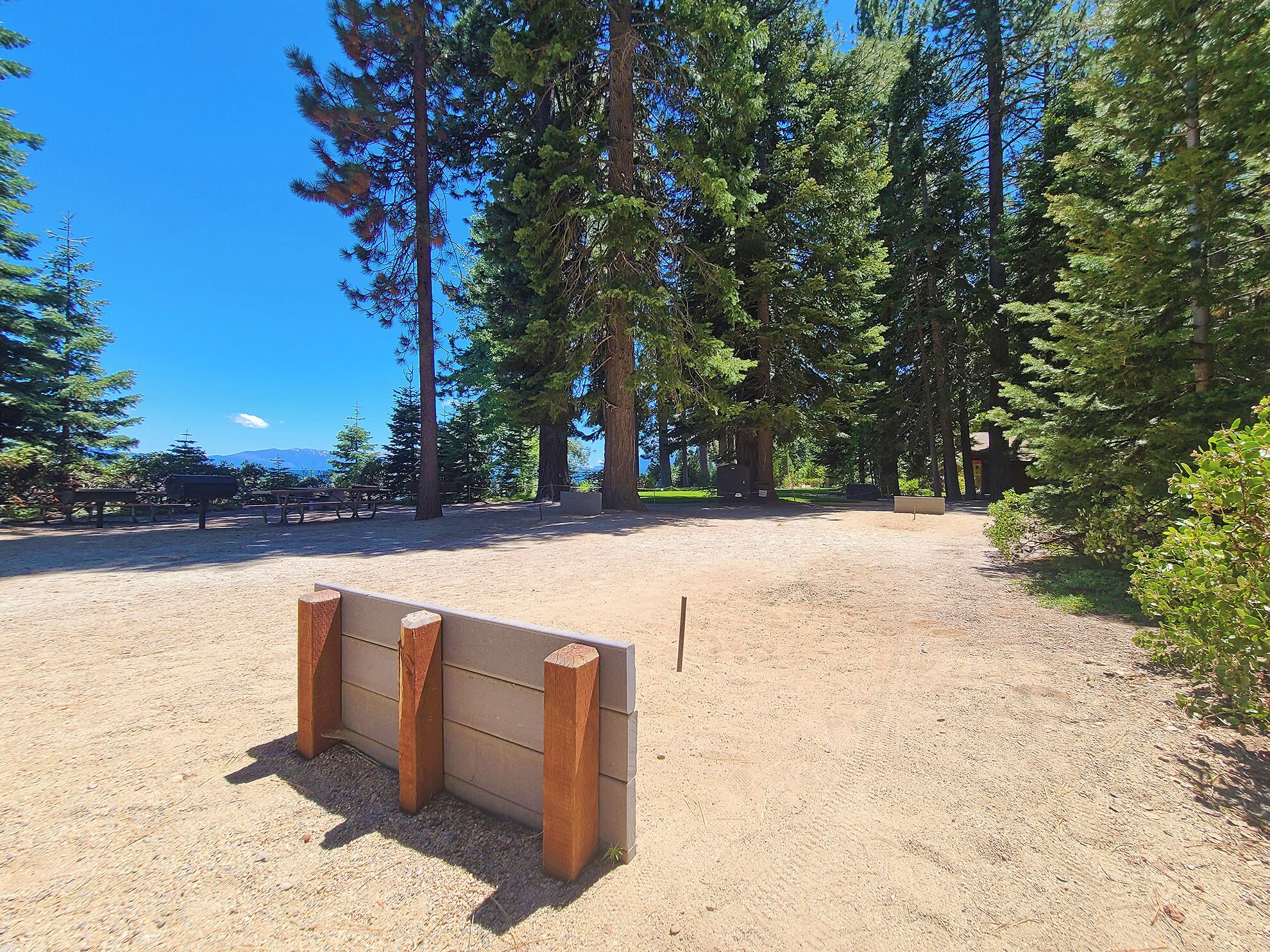 Un camping con mesas de picnic, un banco de madera y árboles altos.
