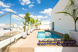Outdoor pool - San Lorenzo. 3 bedrooms, terrace, private pool (Sevilla)
