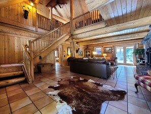 Televisión, chimenea y reproductor de DVD