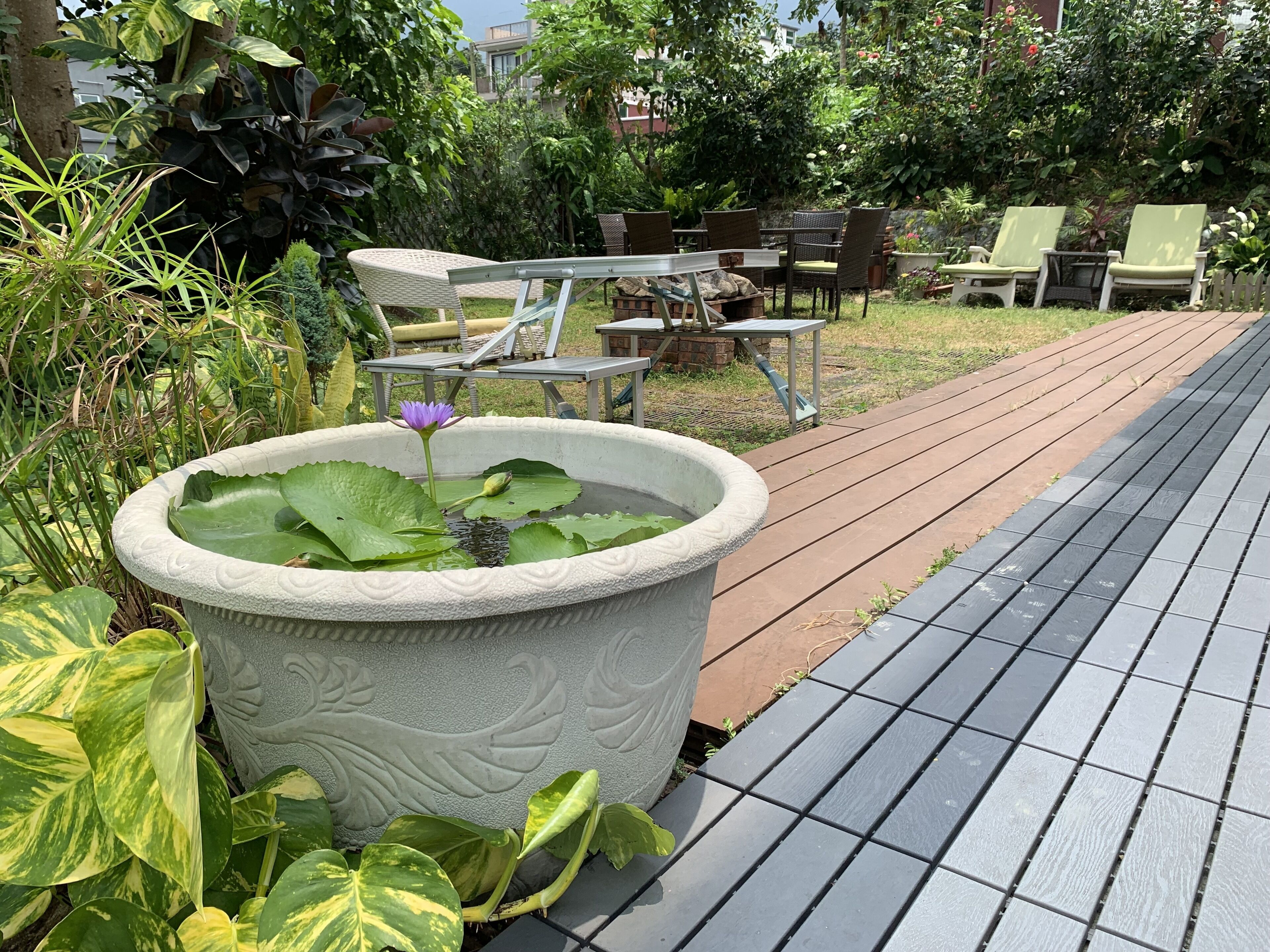 Un jardín con un estanque, asientos y un sendero pavimentado.