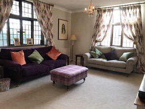 Smart TV, fireplace, DVD player, books