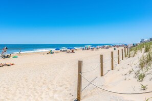 On the beach, sun loungers