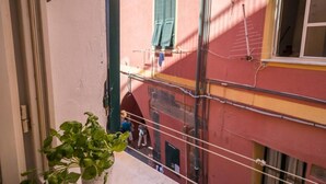 A balcony with a potted plant, a view of a red building with green shutters, and visible wires.