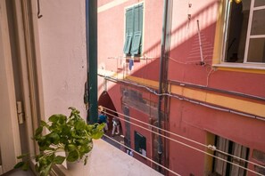 A balcony with a potted plant, a view of a red building with green shutters, and visible wires.