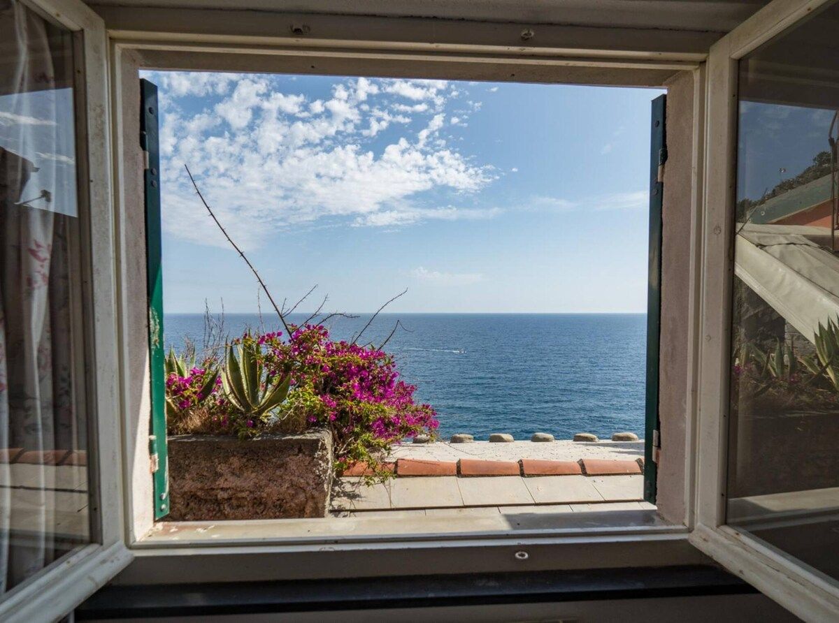 A window with a view of the sea and a garden with pink flowers.
