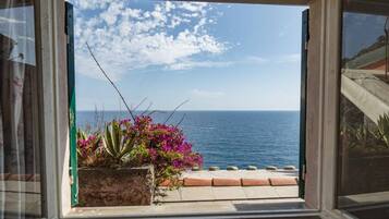 A window with a view of the sea and a garden with pink flowers.