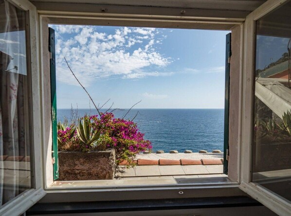 A window with a view of the sea and a garden with pink flowers.
