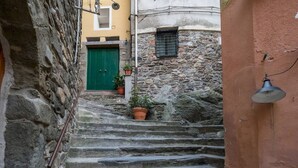 Una estrecha escalera de piedra que lleva a un edificio con una puerta verde y plantas en macetas.