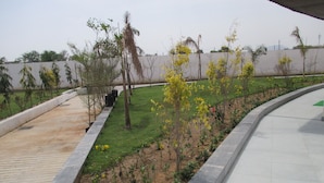 Zona ajardinada con un sendero curvo, árboles jóvenes y una sección cubierta de césped.