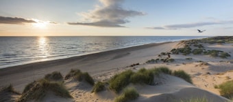 2 bedroom apartment with garden close to Lark Lane and city centre