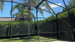 Una piscina con un cielo azul despejado y palmeras al fondo.