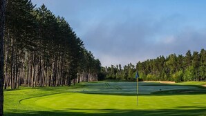 A golf course with a flagstick, surrounded by tall trees and a clear sky.