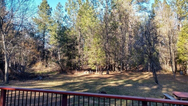 A wooded area with a picnic table and a bench.