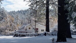 A snow-covered house with a porch, surrounded by trees and a forest.