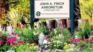 Letrero del Arboretum John A. Finch, con una variedad de flores coloridas y árboles al fondo.