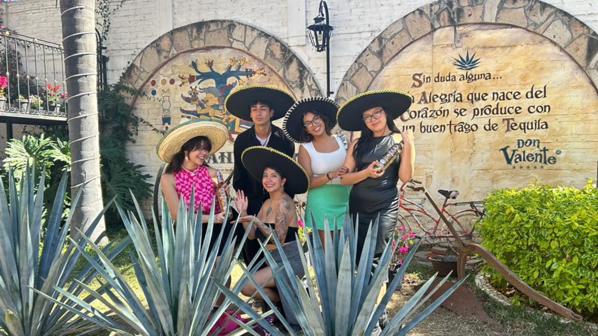 Photo - Free Spirit Hostel Guadalajara