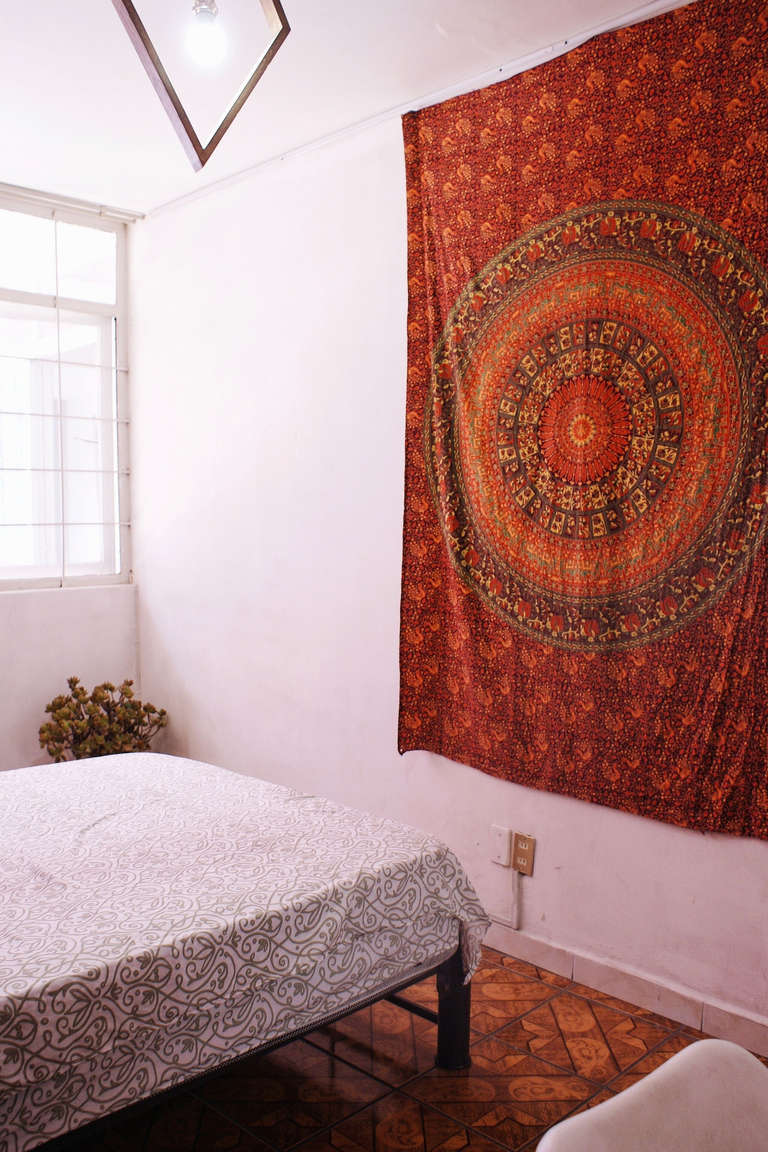 Photo - Free Spirit Hostel Guadalajara