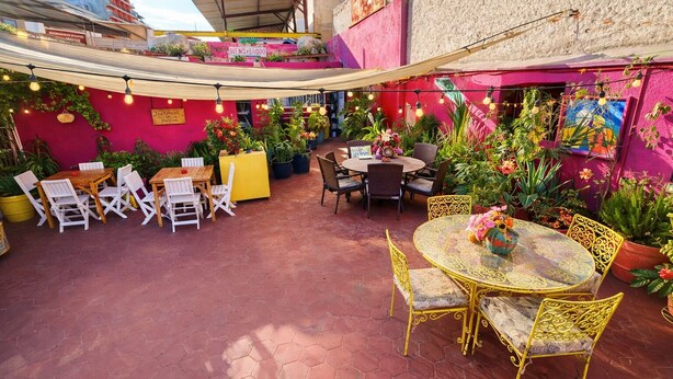 An outdoor patio area with hexagonal tiled flooring, multiple seating arrangements including tables and chairs, and potted plants. - Free Spirit Hostel Guadalajara (Guadalajara)