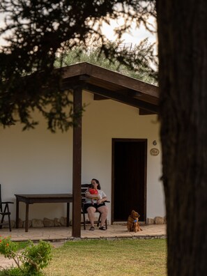 Family Room | View from room