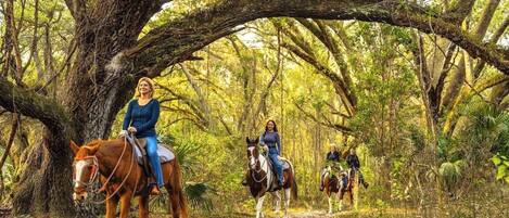 Three people riding horses on a dirt path surrounded by trees.